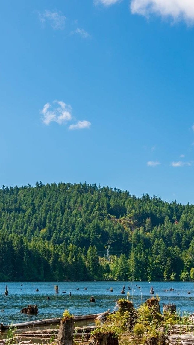 Cowichan Lake Waterfront Homes Lakefront Real Estate in Cowichan Bay