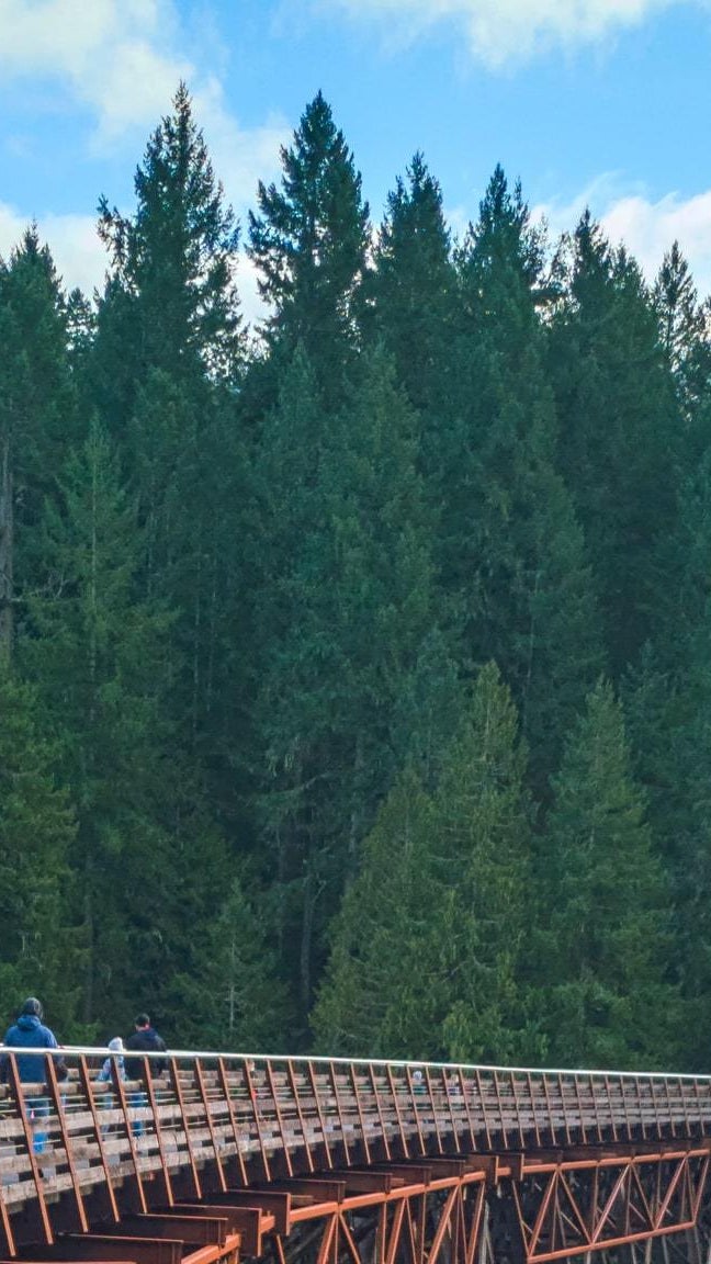 Shawnigan Lake Waterfront Homes Lakefront Real Estate in Shawnigan Lake