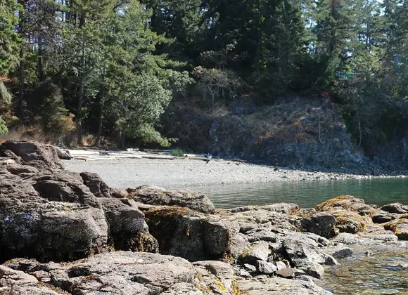 Scuba Diving in Nanoose Bay: Every Shore Dive Site on the Peninsula 