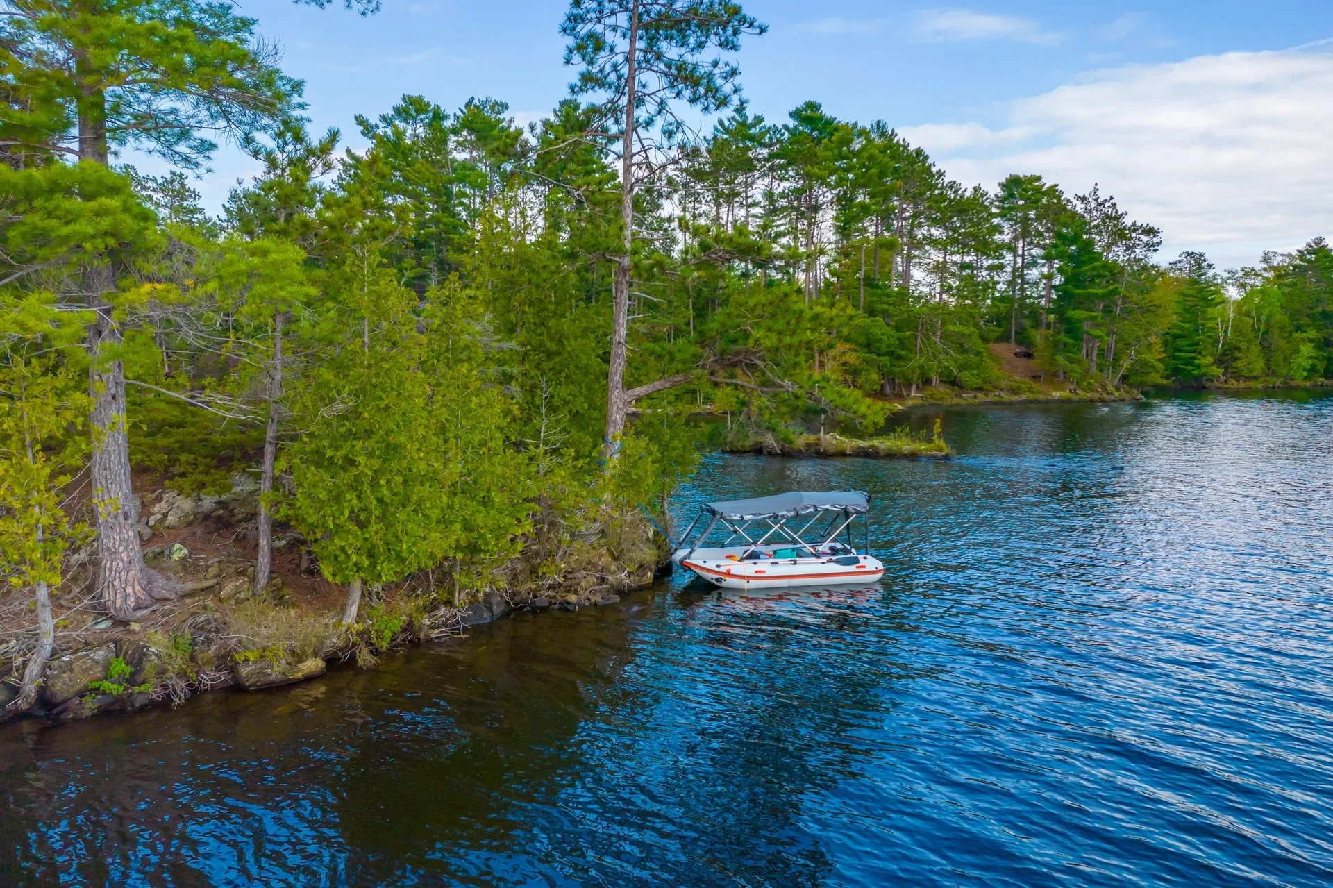 Pontoon boat tethered to shoreline of forested lake