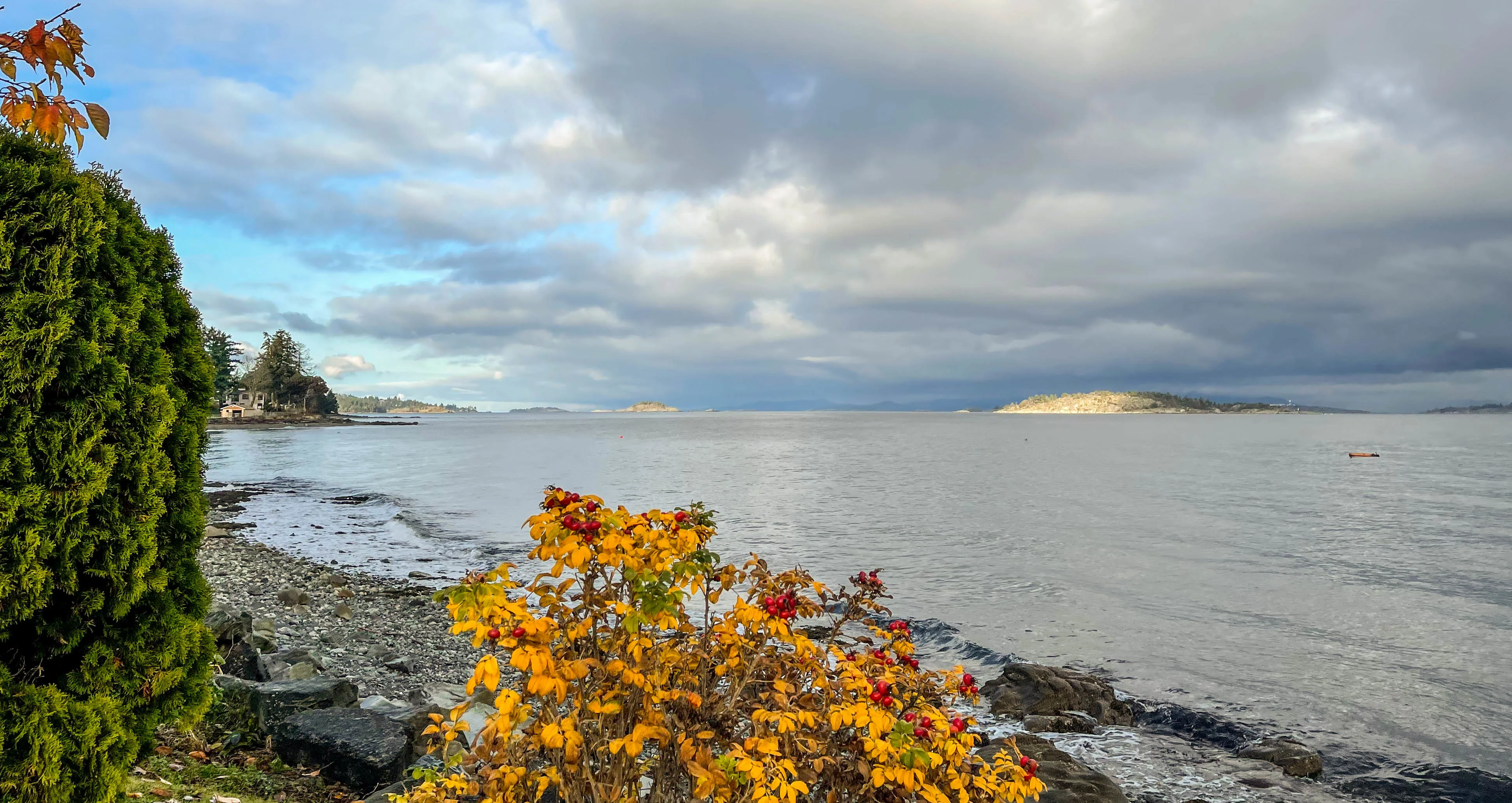 View nearby Nanaimo townhomes and condos