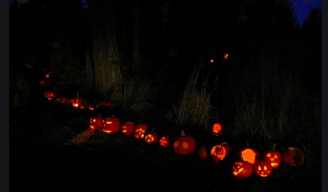 Shady Mile Jack-o-laterns!