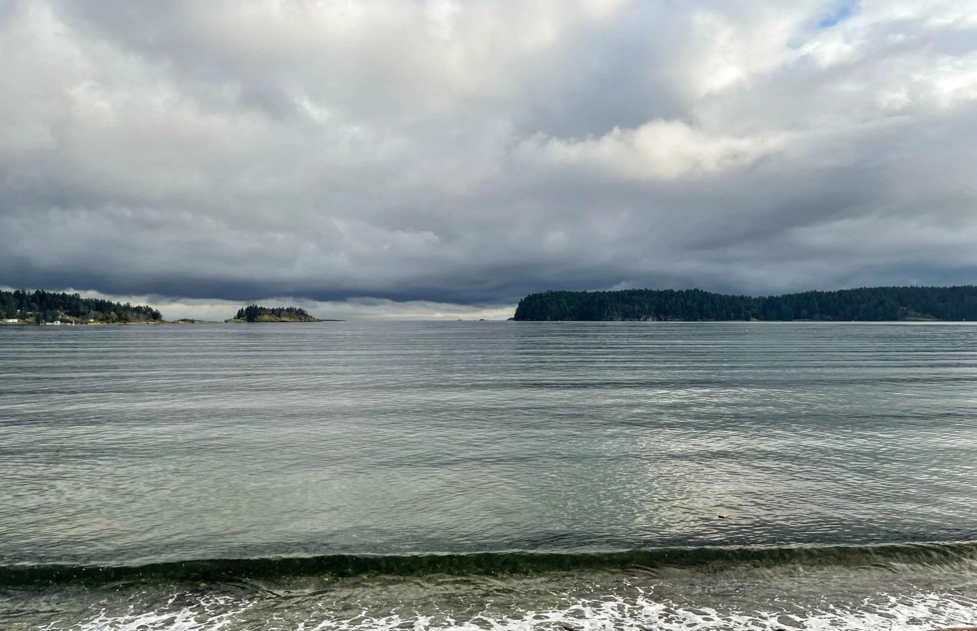 Scenic waters of Departure Bay