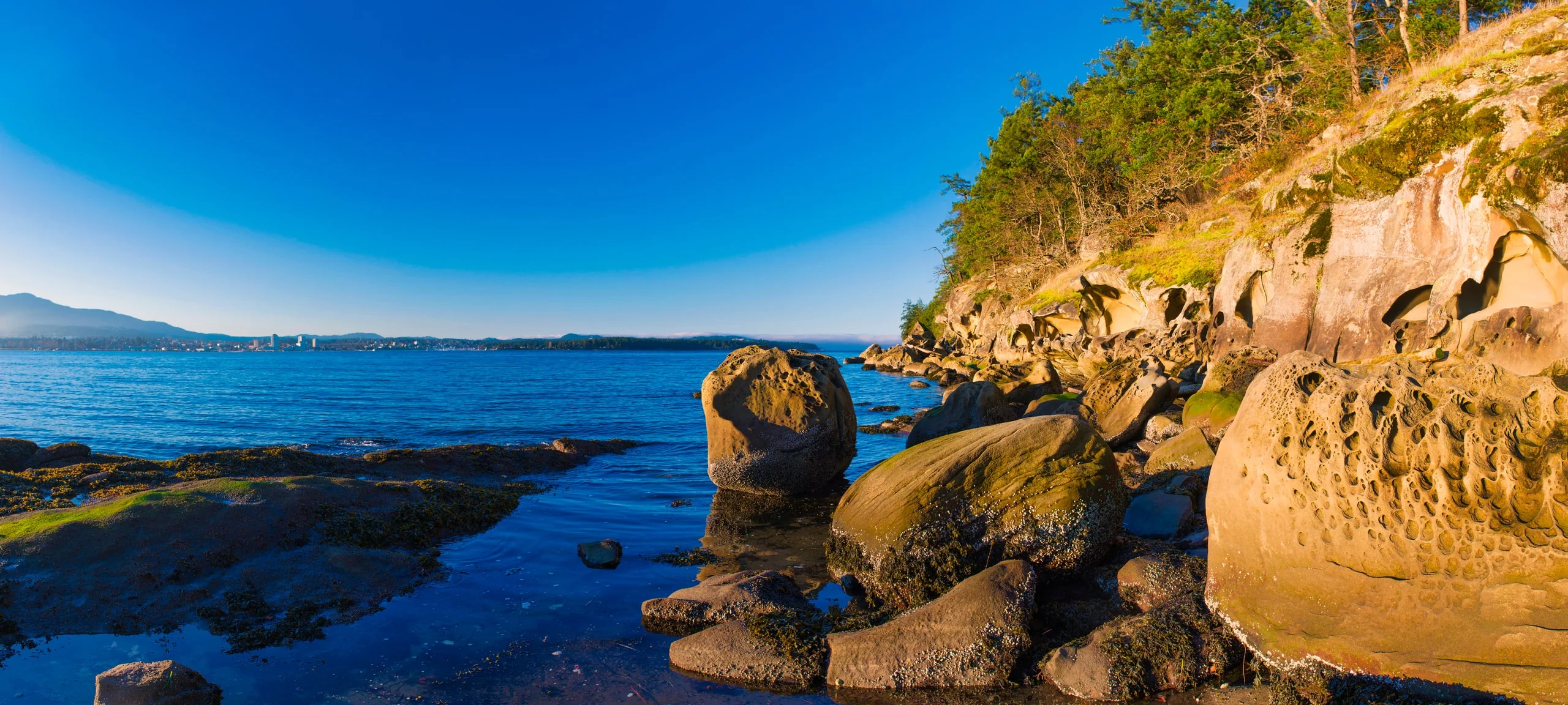 Rocky coastline at Jack Point, in Biggs Park in Cedar
