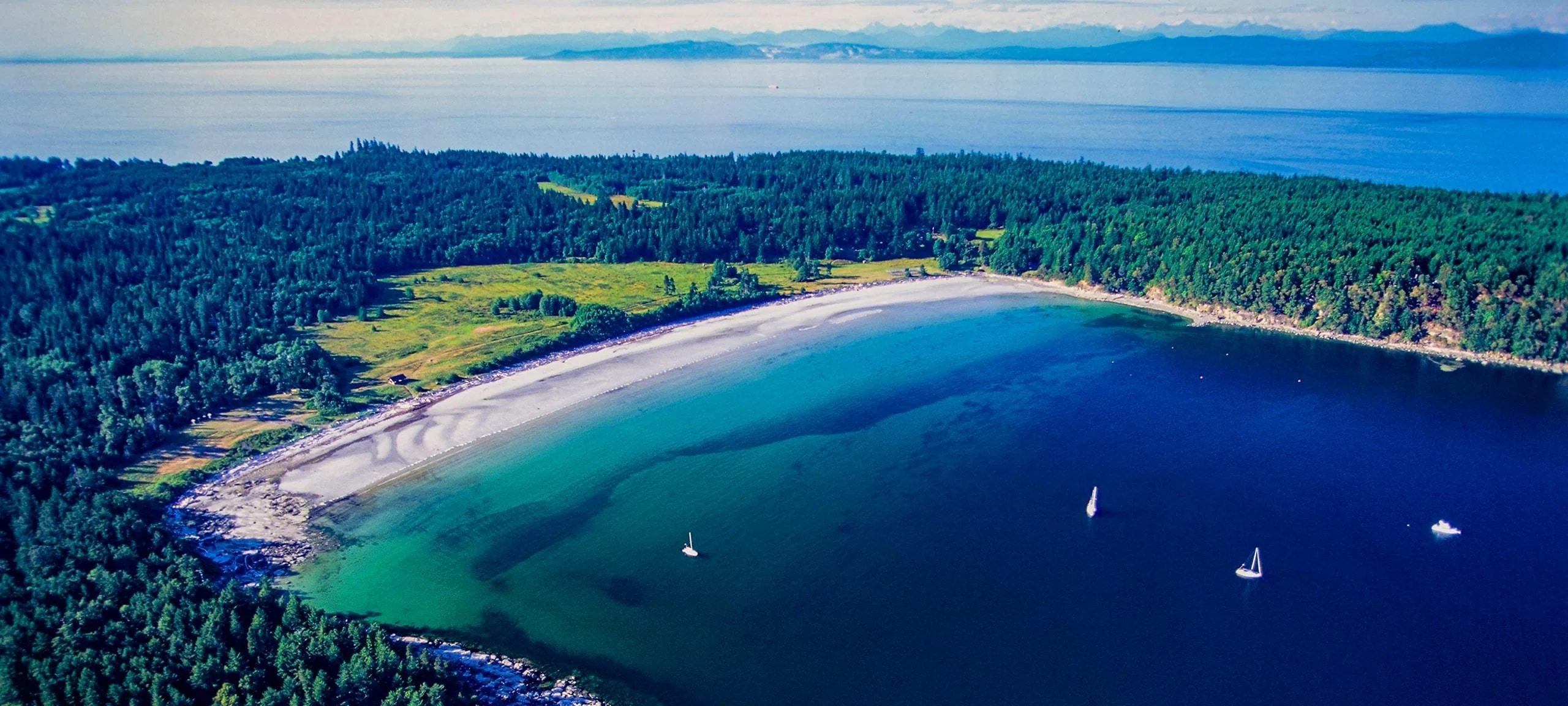 Beach with blue water and beautiful forest at Hornby Island, BC