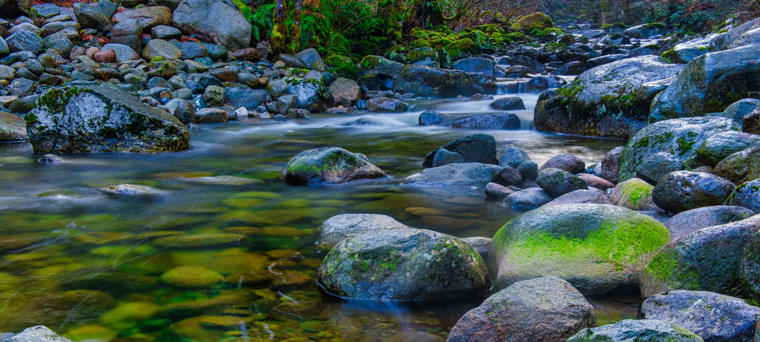 Mossy rocks and stream at Holland Creek in Ladysmith, BC