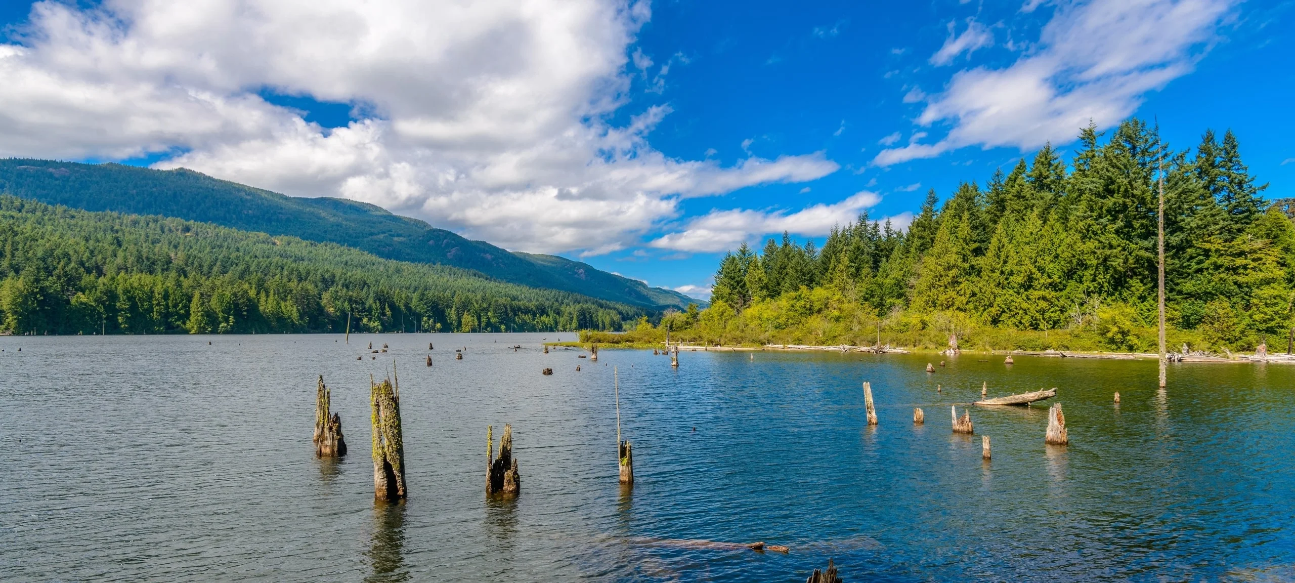 Gorgeous sunny day on Cowichan Lake, near the town of Lake Cowichan