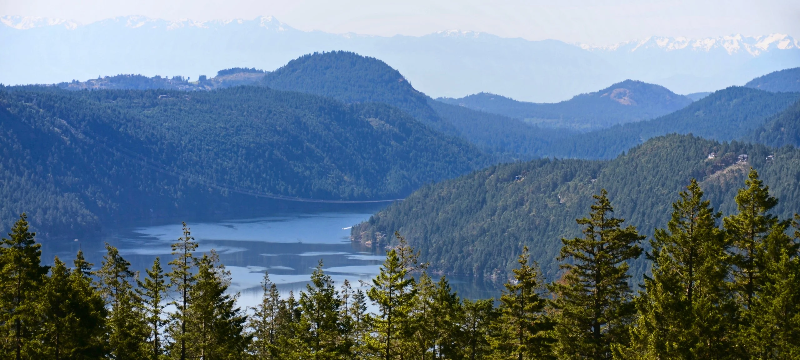 Aerial view of Cowichan Lake and mountains from viewpoint