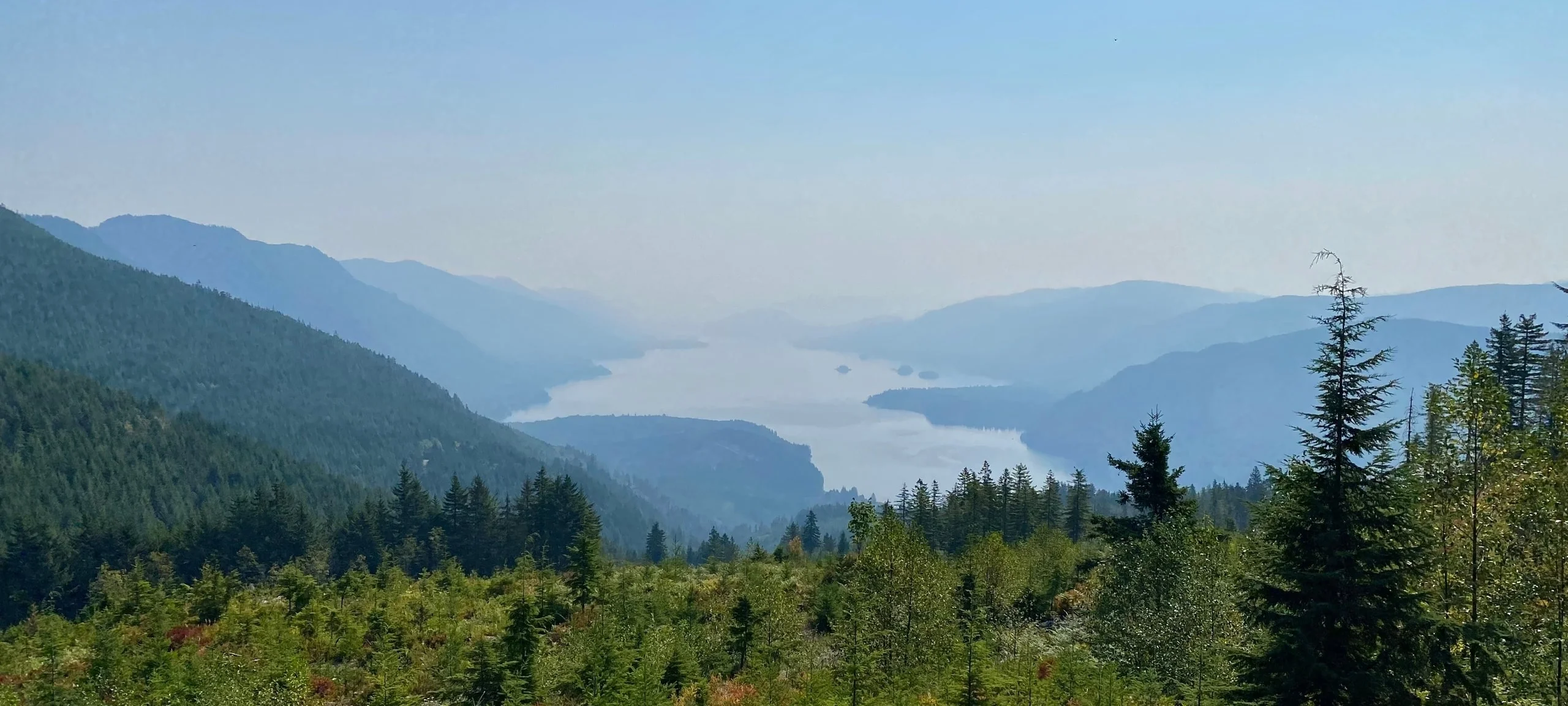 Aerial view over Cowichan Lake, BC during the summertime