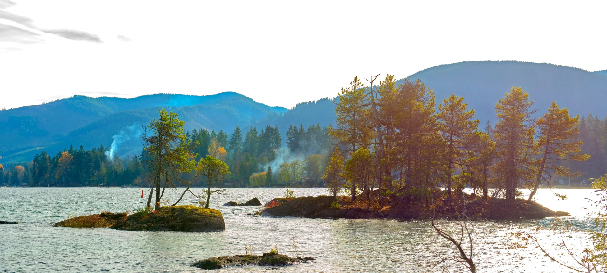 Small islands with trees on Cowichan Lake, at Gordon Bay Park