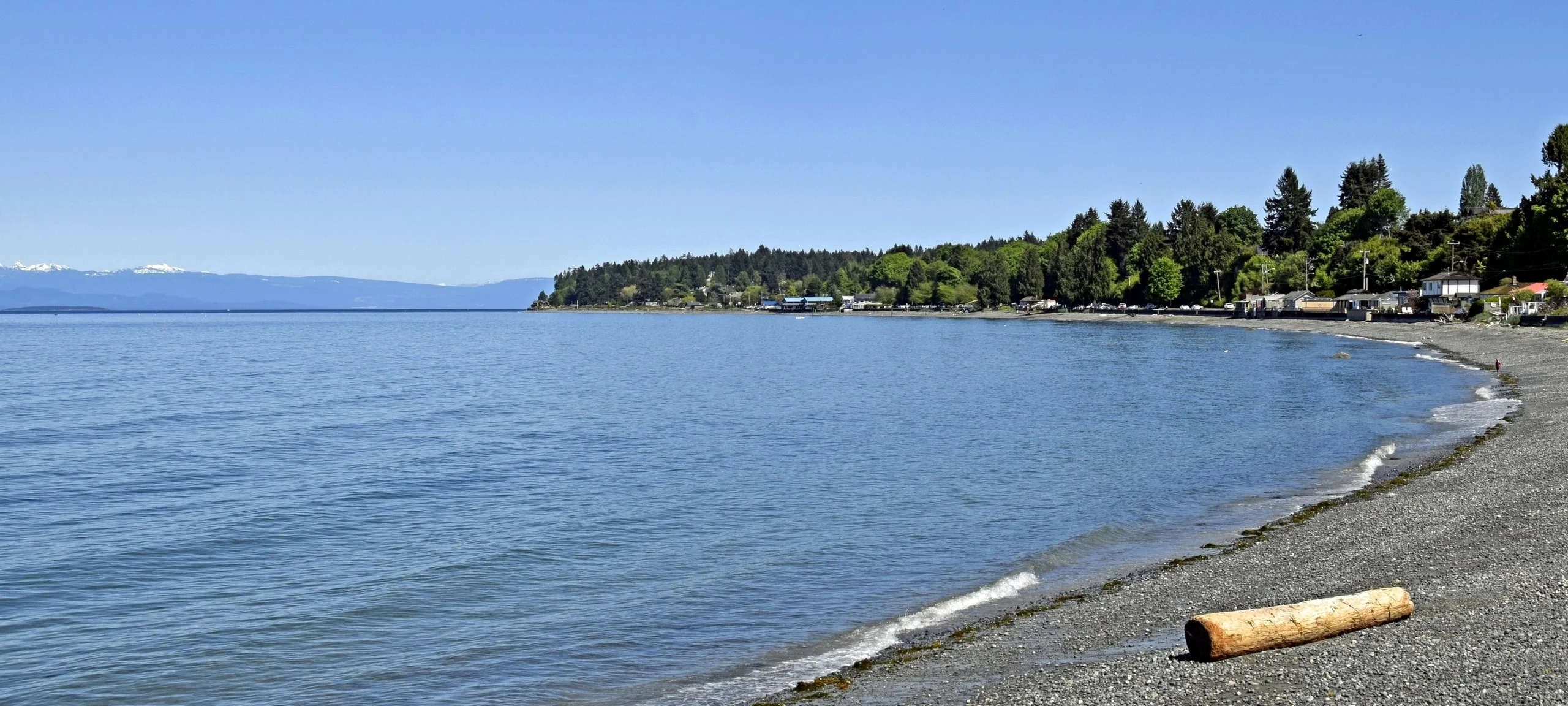 Waves at beach in Qualicum, BC with waterfront homes in distance