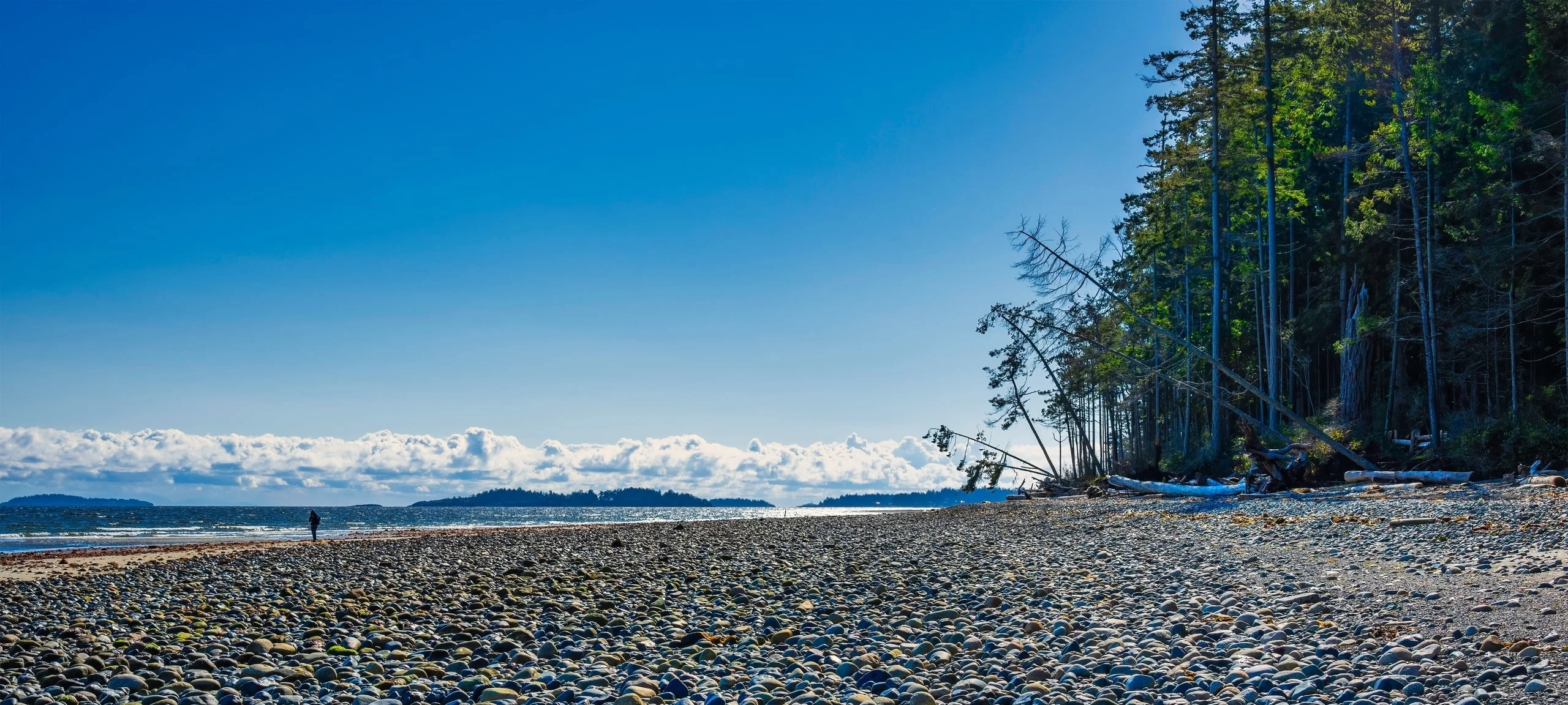 Distant figure on rocky beach in Qualicum, BC