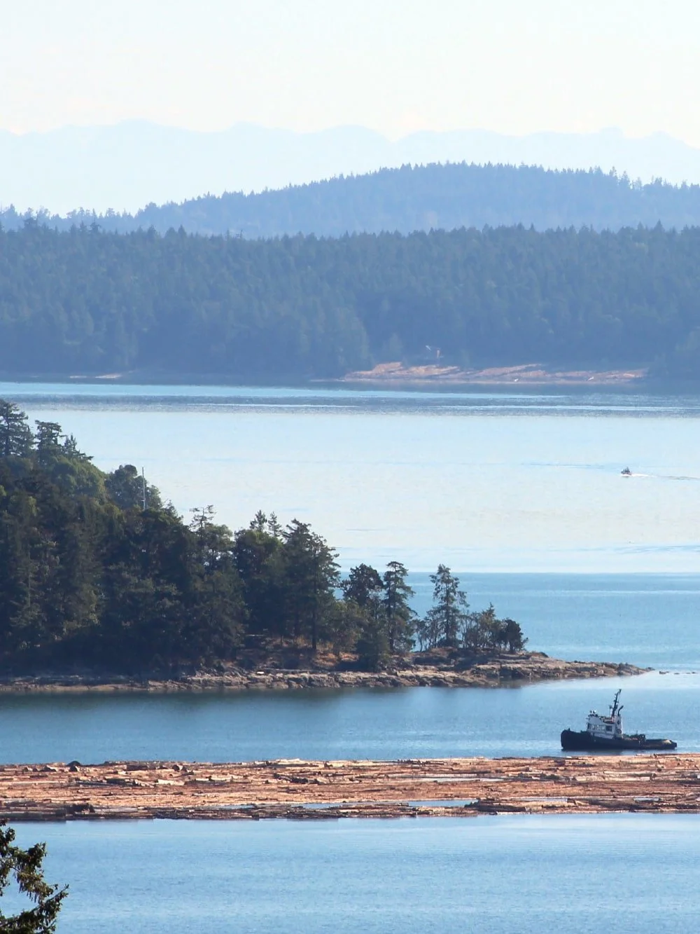 Forest and lake view with boat in water in Ladysmith, BC