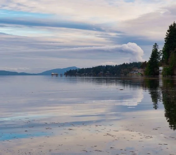 Beautiful panoramic shot of Ladysmith waters