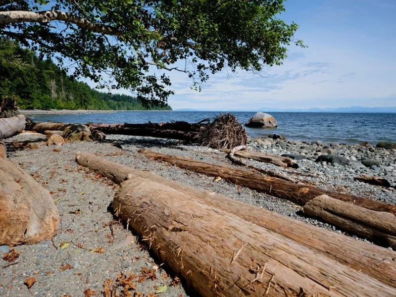 Wood on Vancouver Island beach near Lantzville