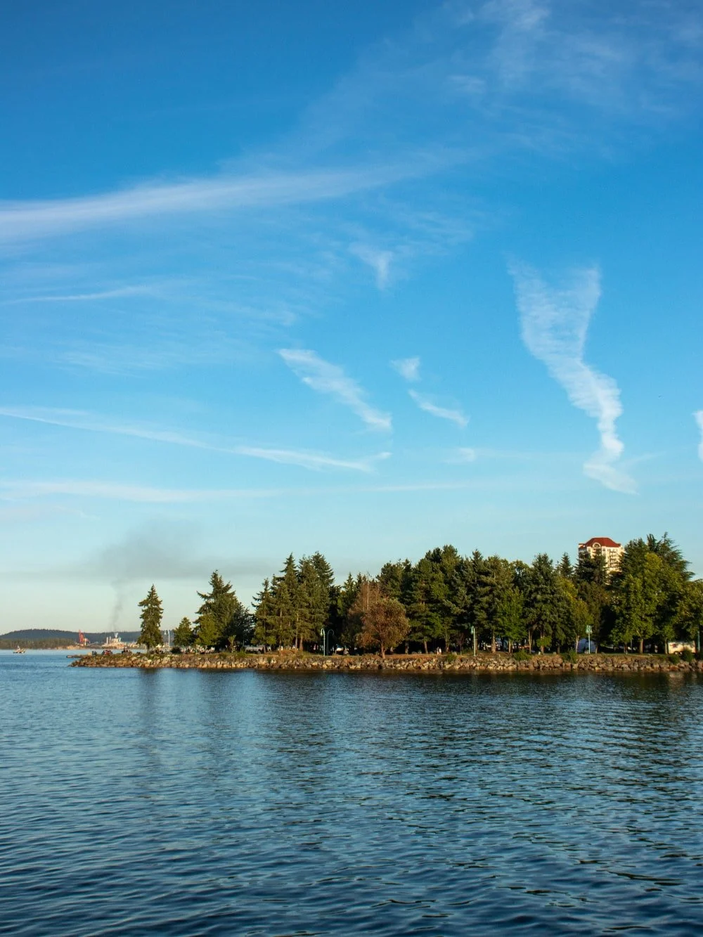 Rocky forested shoreline with condo poking through trees in Nanaimo, BC