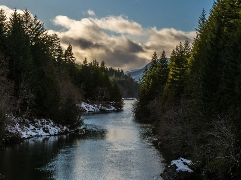 River, mountain, and forest views at nature park in Nanaimo, BC