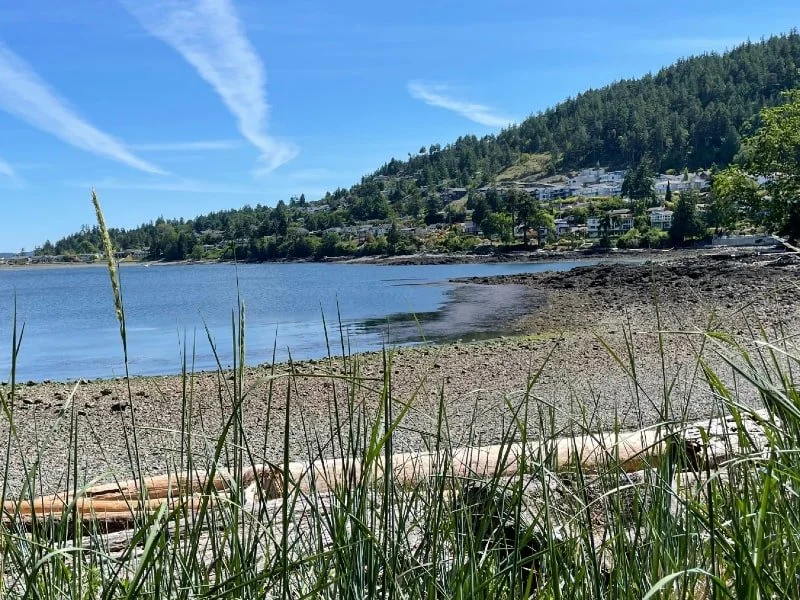 Homes on the hill over beach in Nanoose Bay, BC