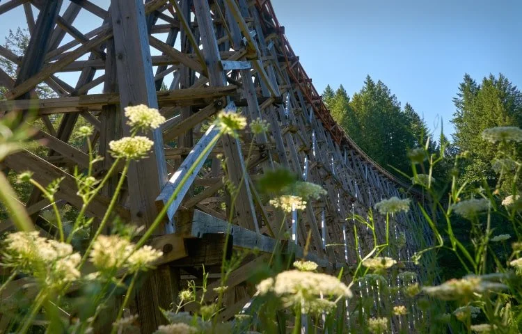 Kinsol Trestle Bridge near Shawnigan Lake, BC