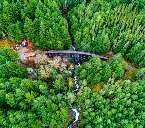 Aerial view of bridge at Koksilah River Provincial Park, Shawnigan Lake