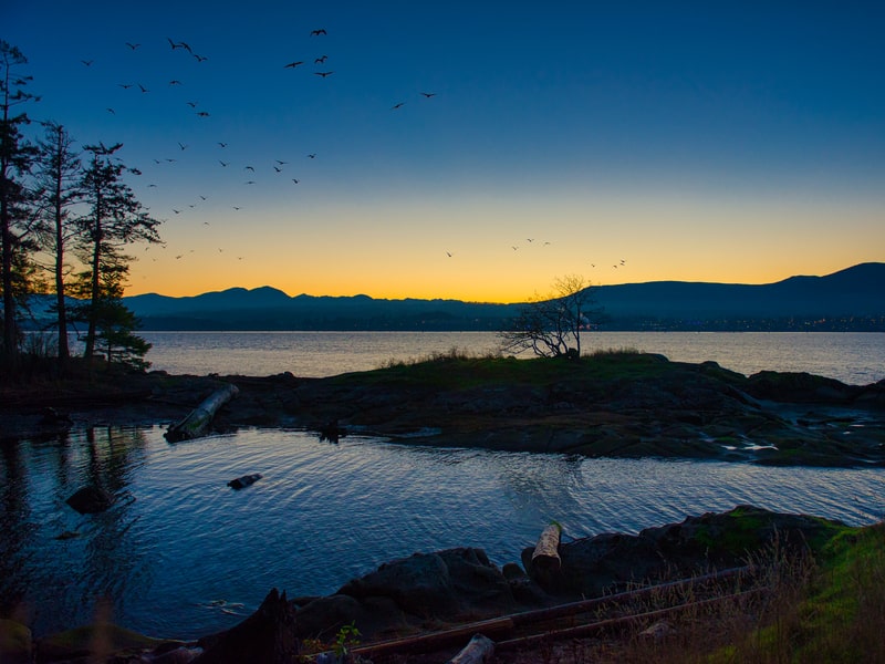 Lights from Nanaimo across the waterfront, viewed from Jack Point in Cedar during dusk