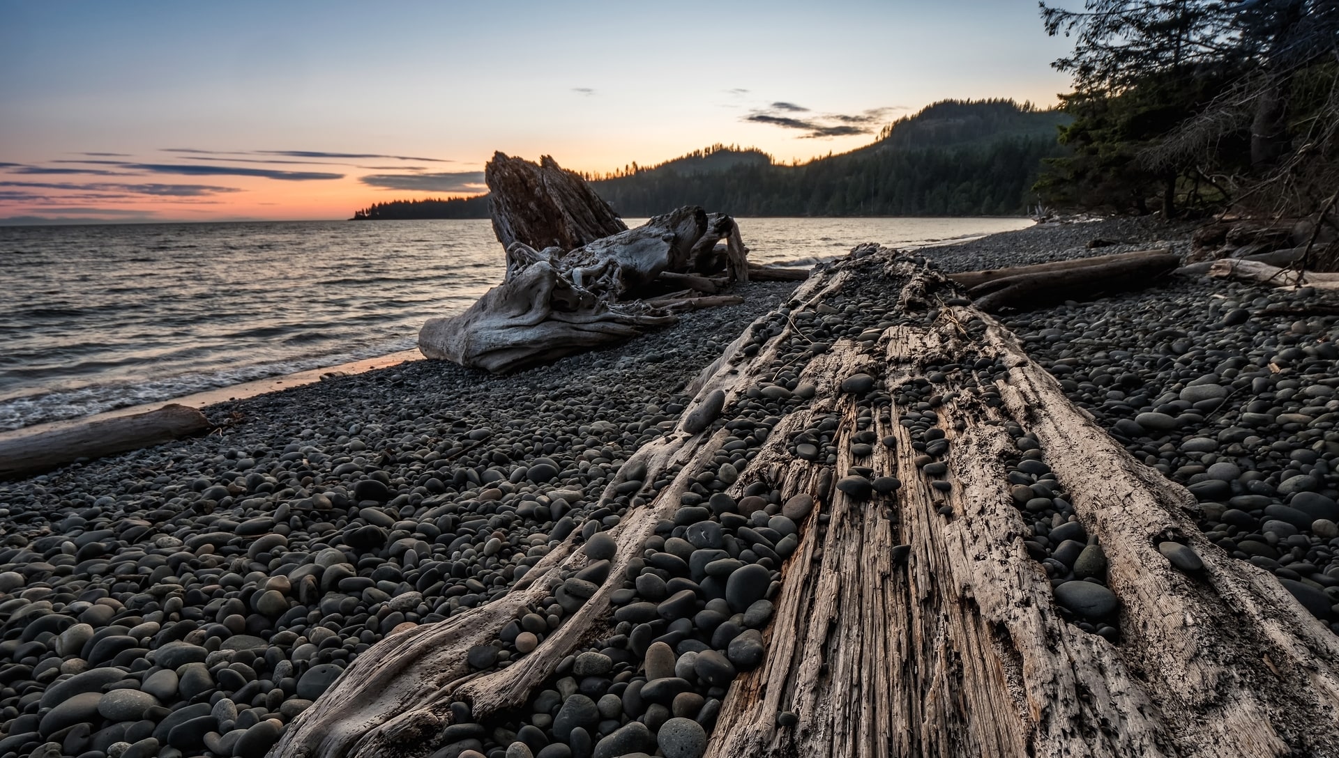 Sunrise over pebble beach with driftwood
