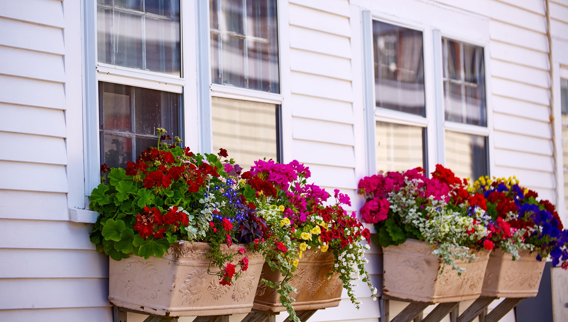 Side of a house with flower boxes underneath its windows