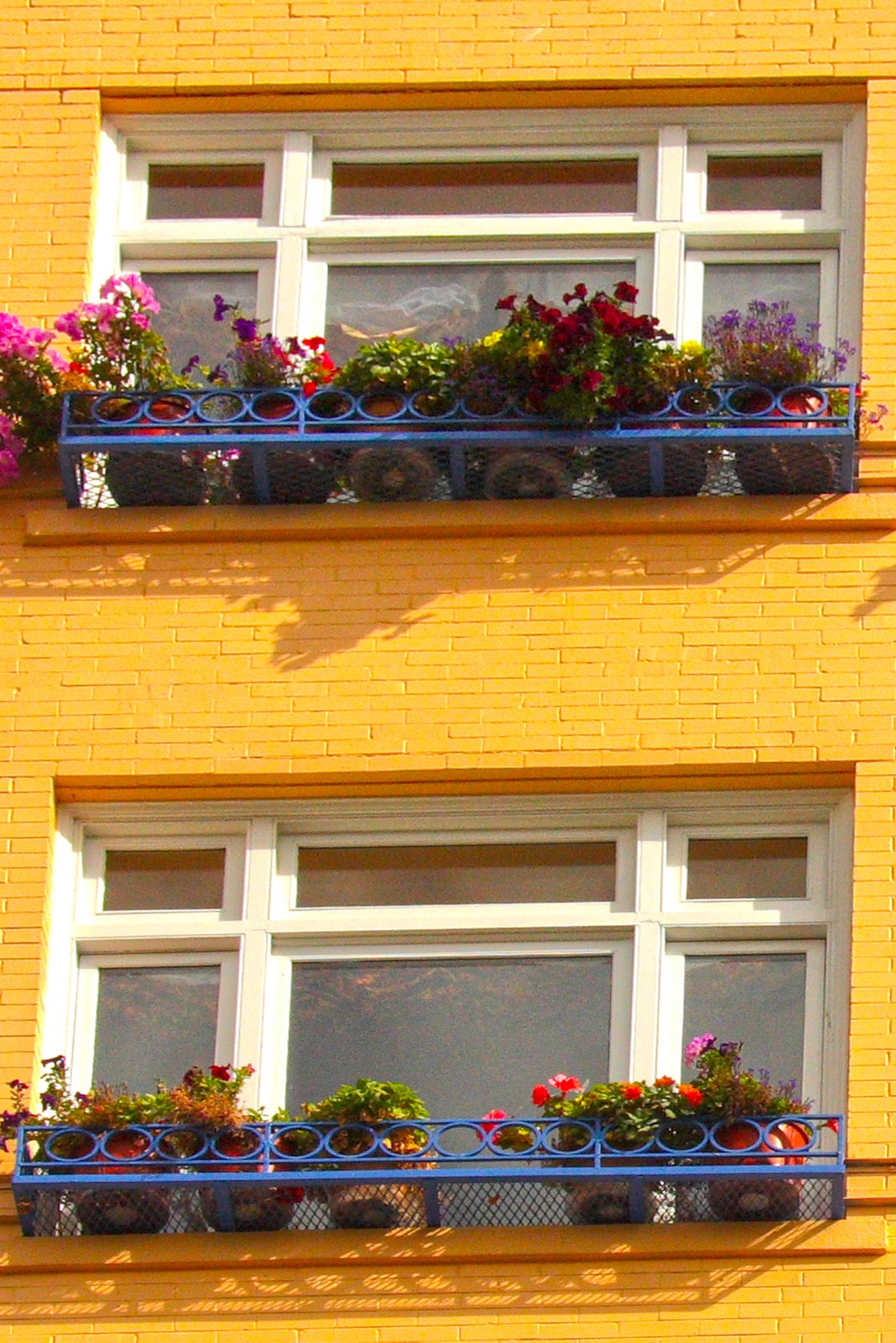 Exterior of yellow brick building with window boxes of flowers