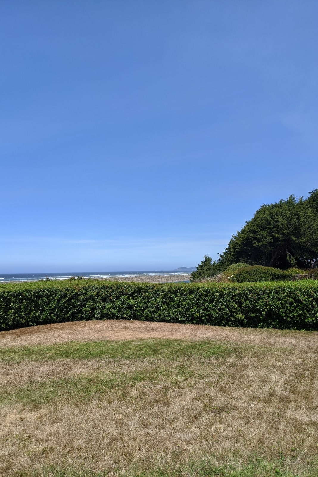 Lawn in backyard on Nanaimo waterfront