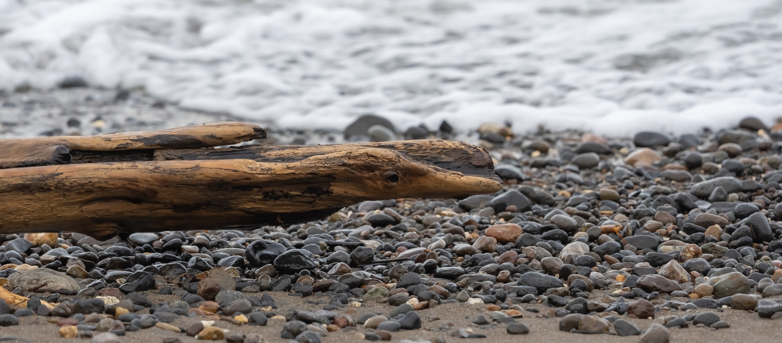 Fog over lake and trees during dawn