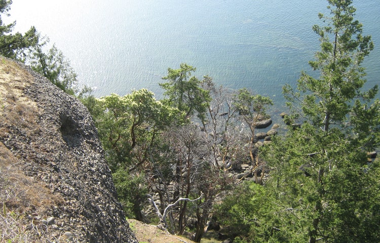 View of hillside overlooking ocean at Boyle Point Provincial Park