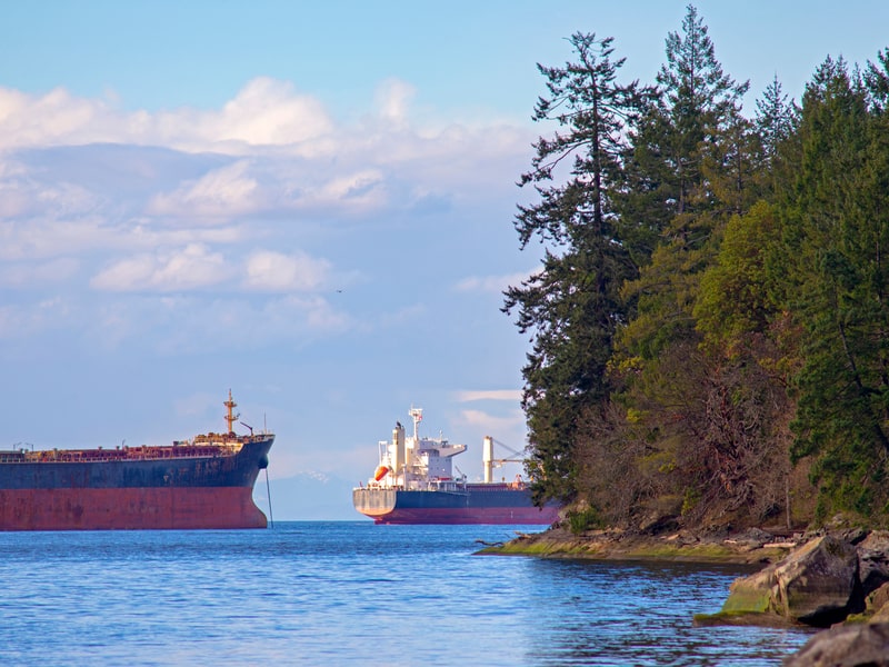 Two large ships on Nanaimo waterfront, framed by trees