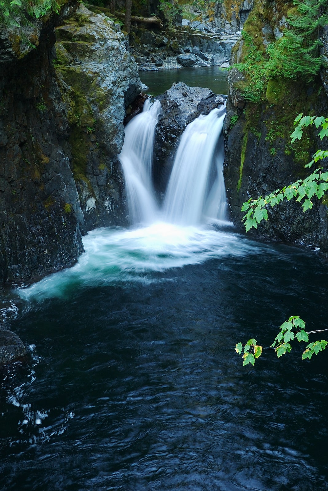 View above waterfall at Englishman River Falls Regional Park, Errington