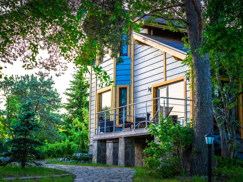 Forest cabin with landscaping and pathway
