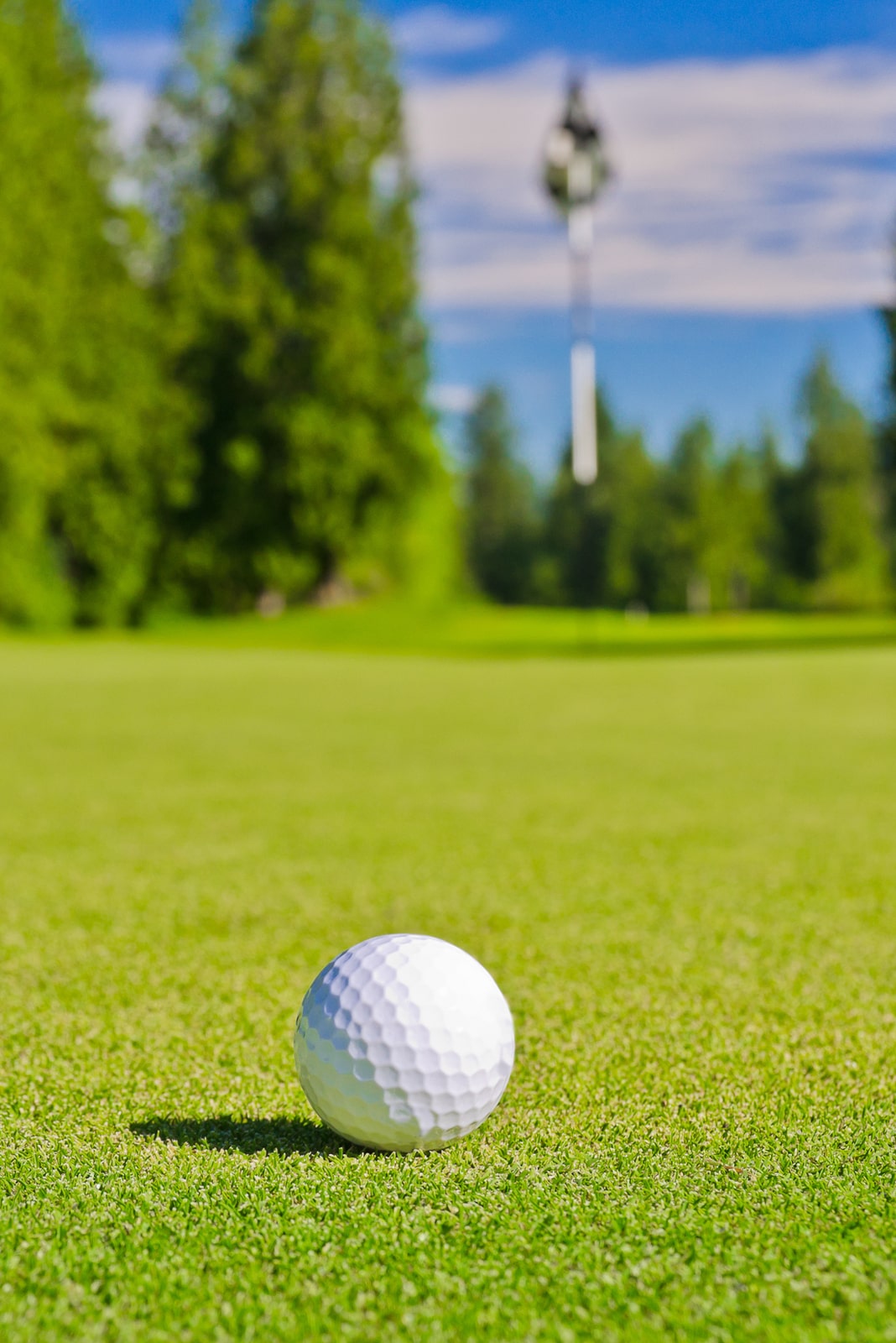 Close up of golf ball on Vancouver Island golf course