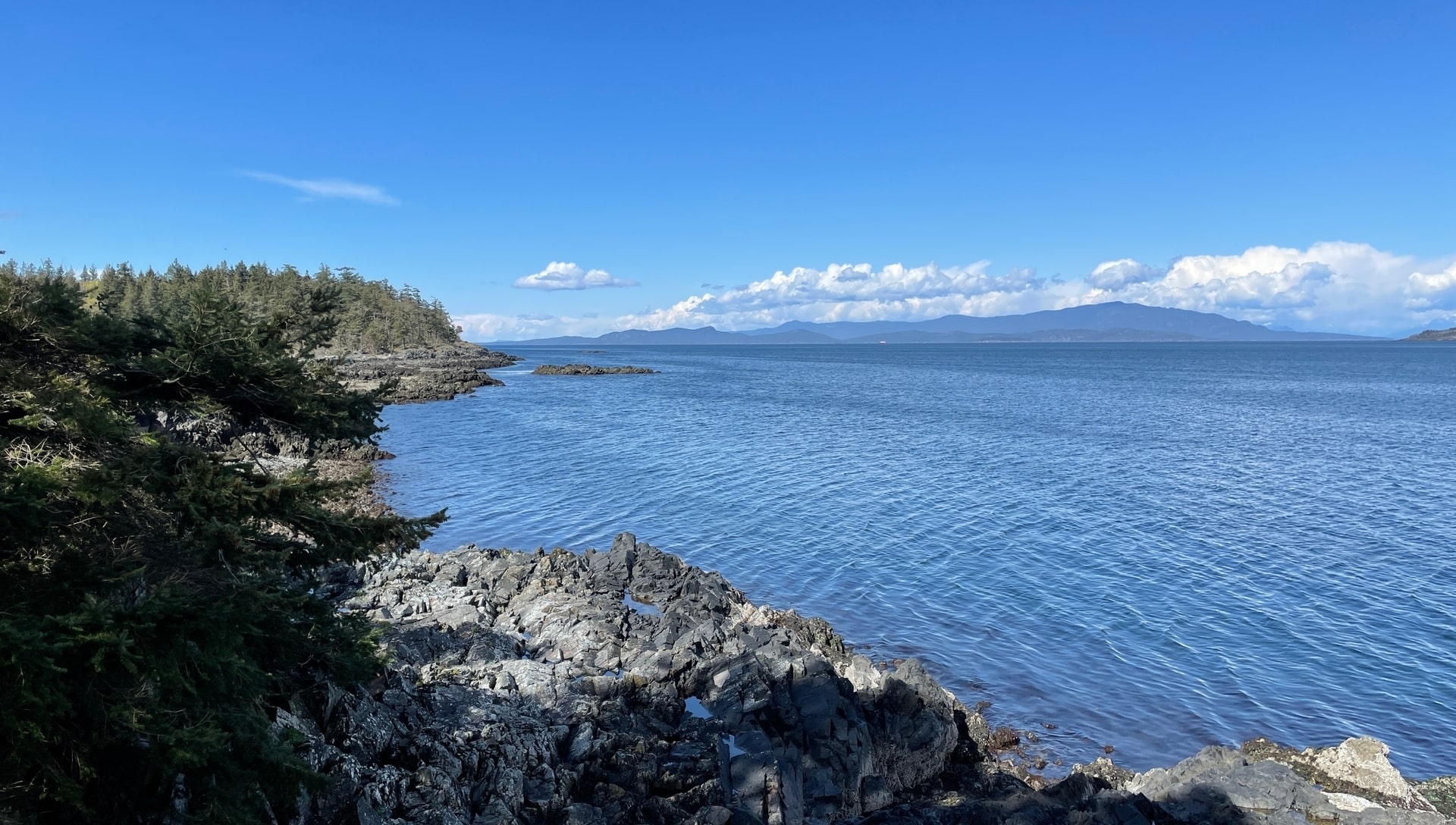 Rocky outcropping on coast at Nanoose Bay