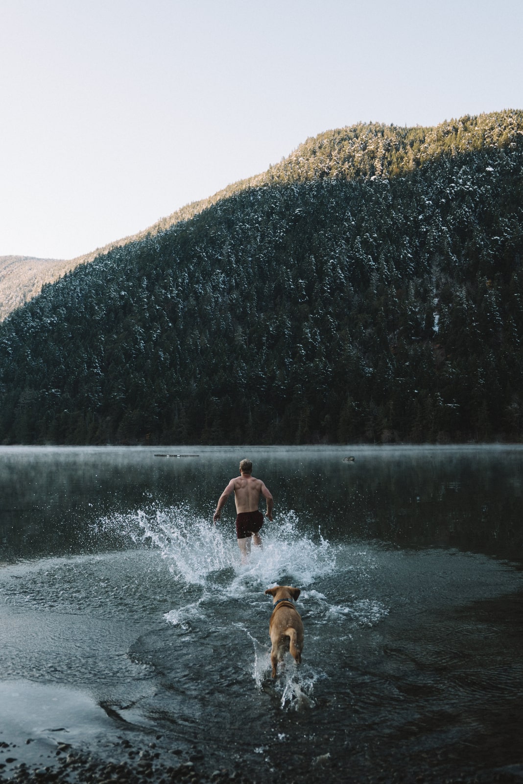 Man and his dog running into Cameron Lake in winter, south of Hilliers, BC