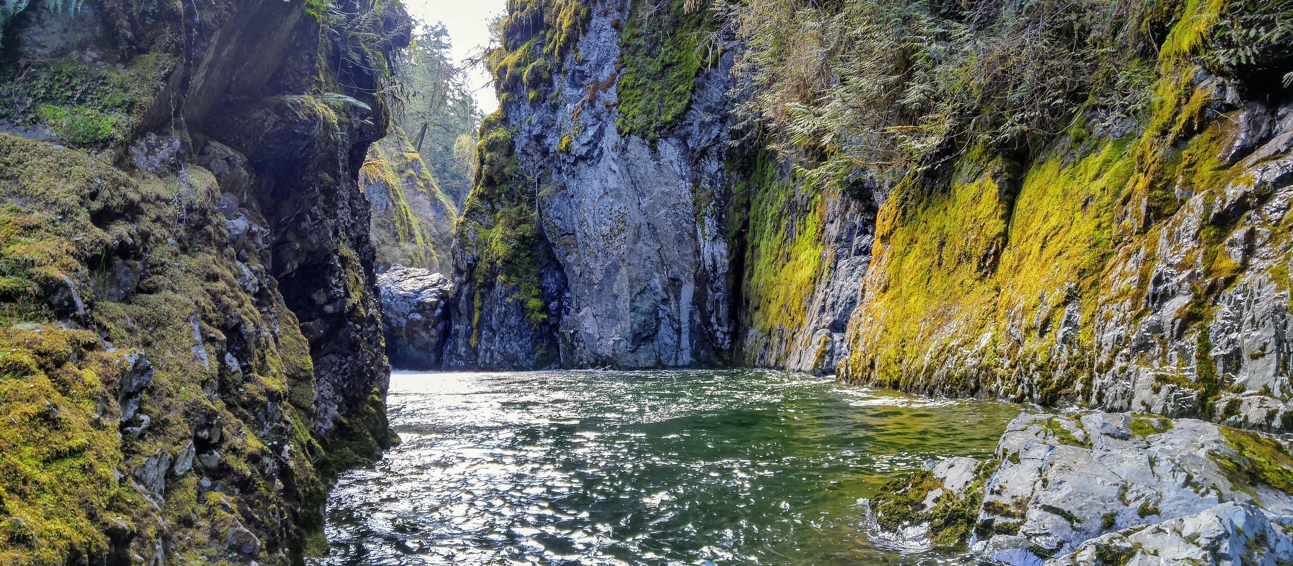 Gully at Englishman River Falls Park, east of Hilliers