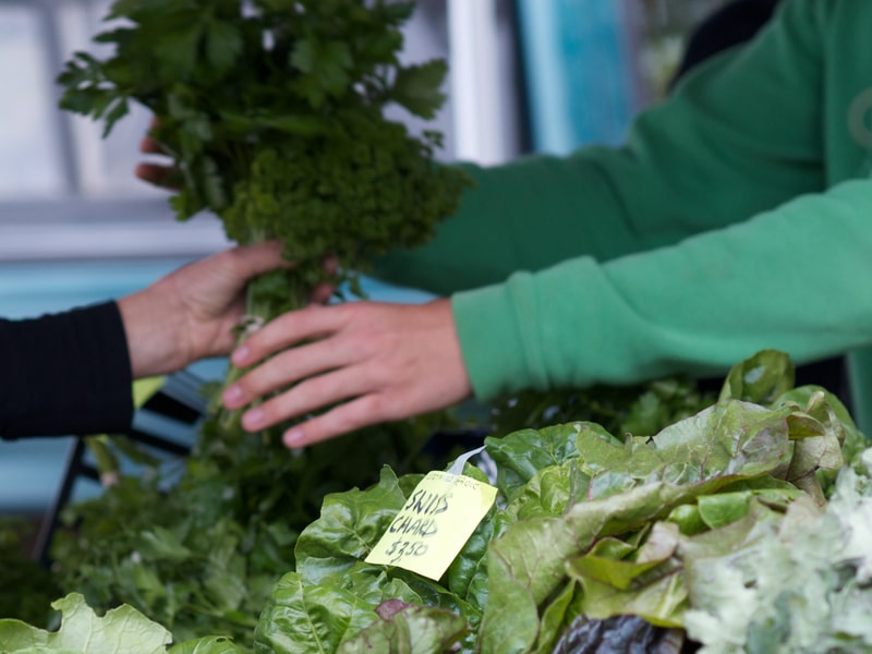 Cashier handing over lettuce at Farmer's Market