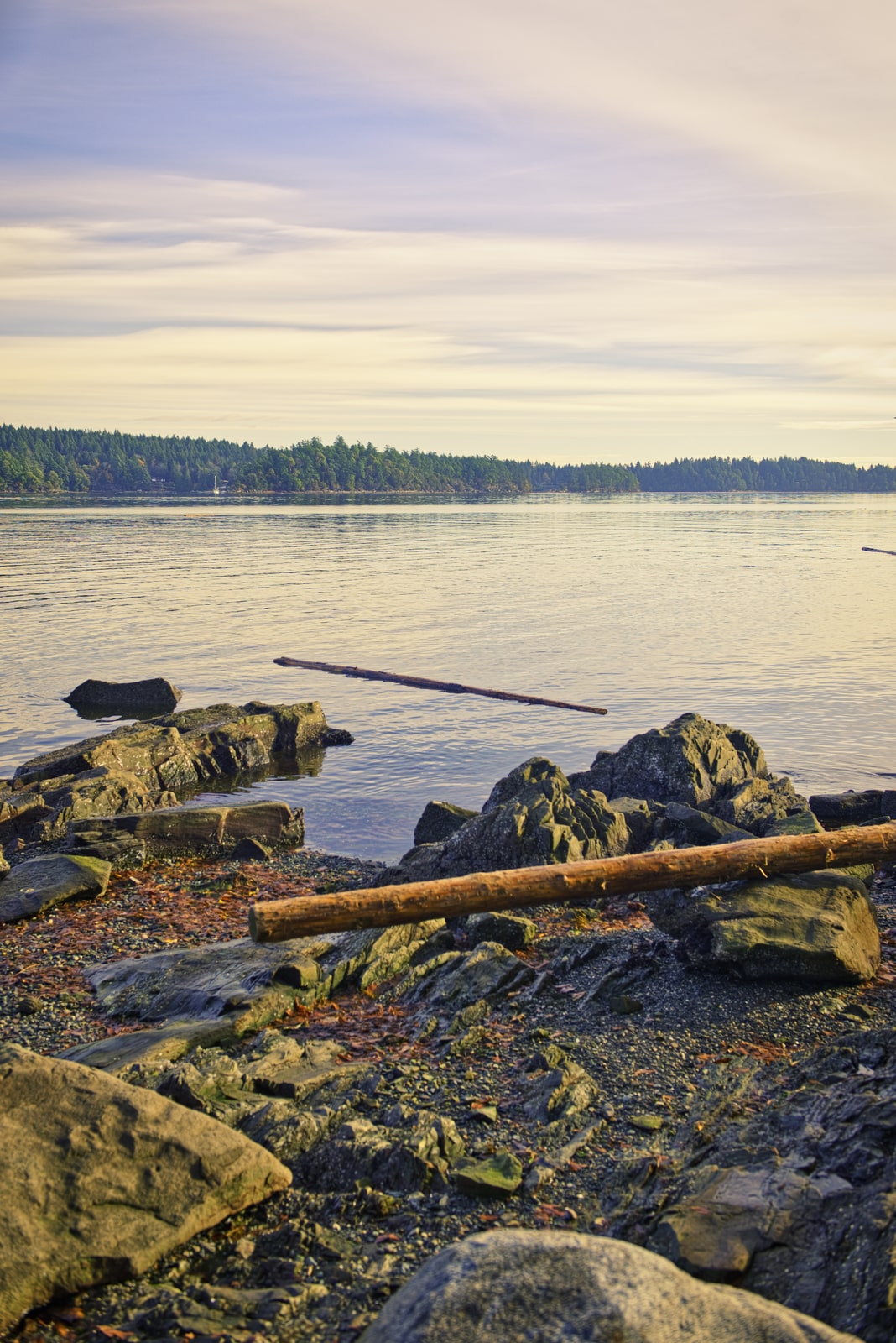 Driftwood at Transfer Beach Park, Ladysmith during sunset
