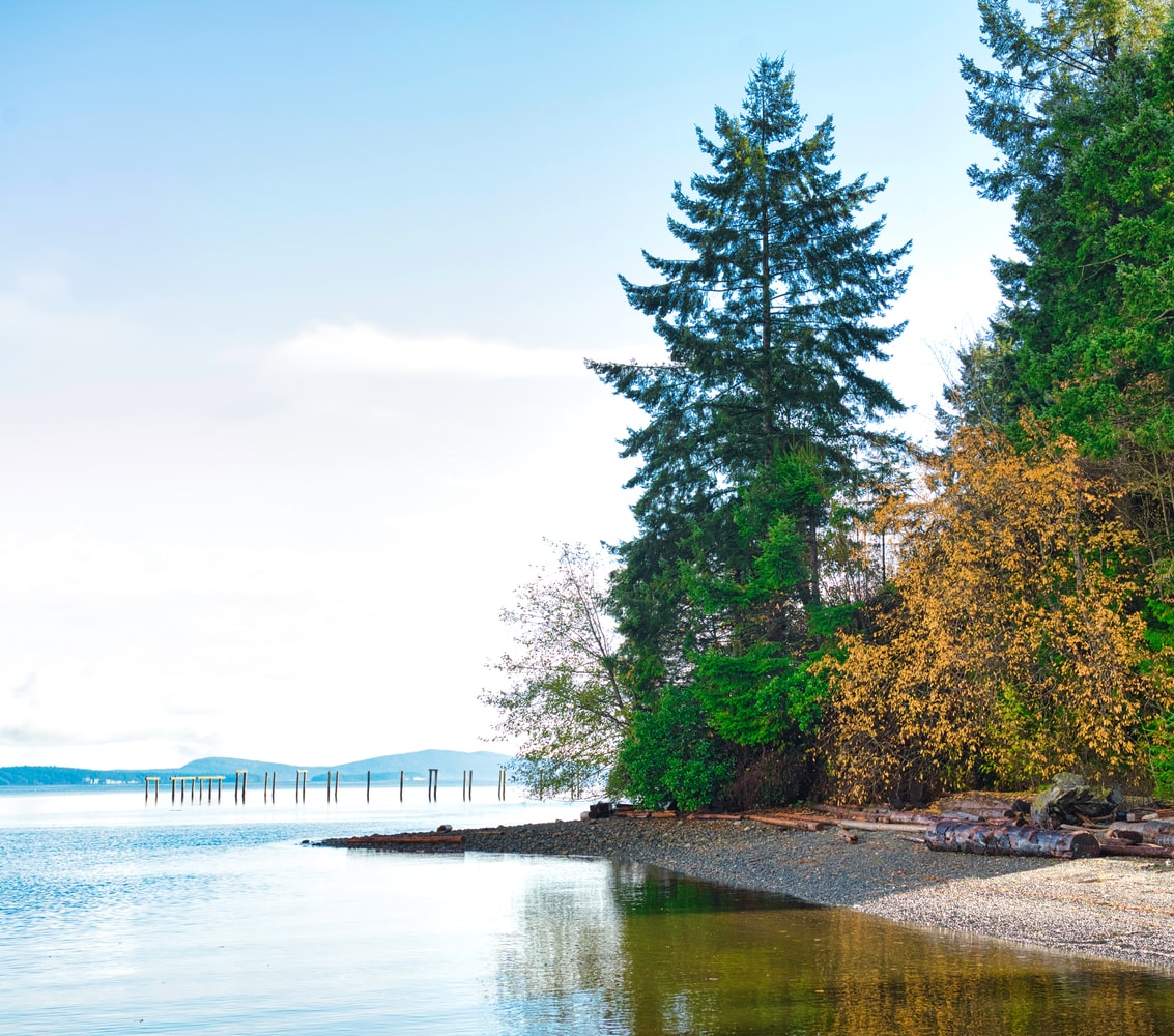 Rocky beach with tall pines on Ladysmith, BC coast