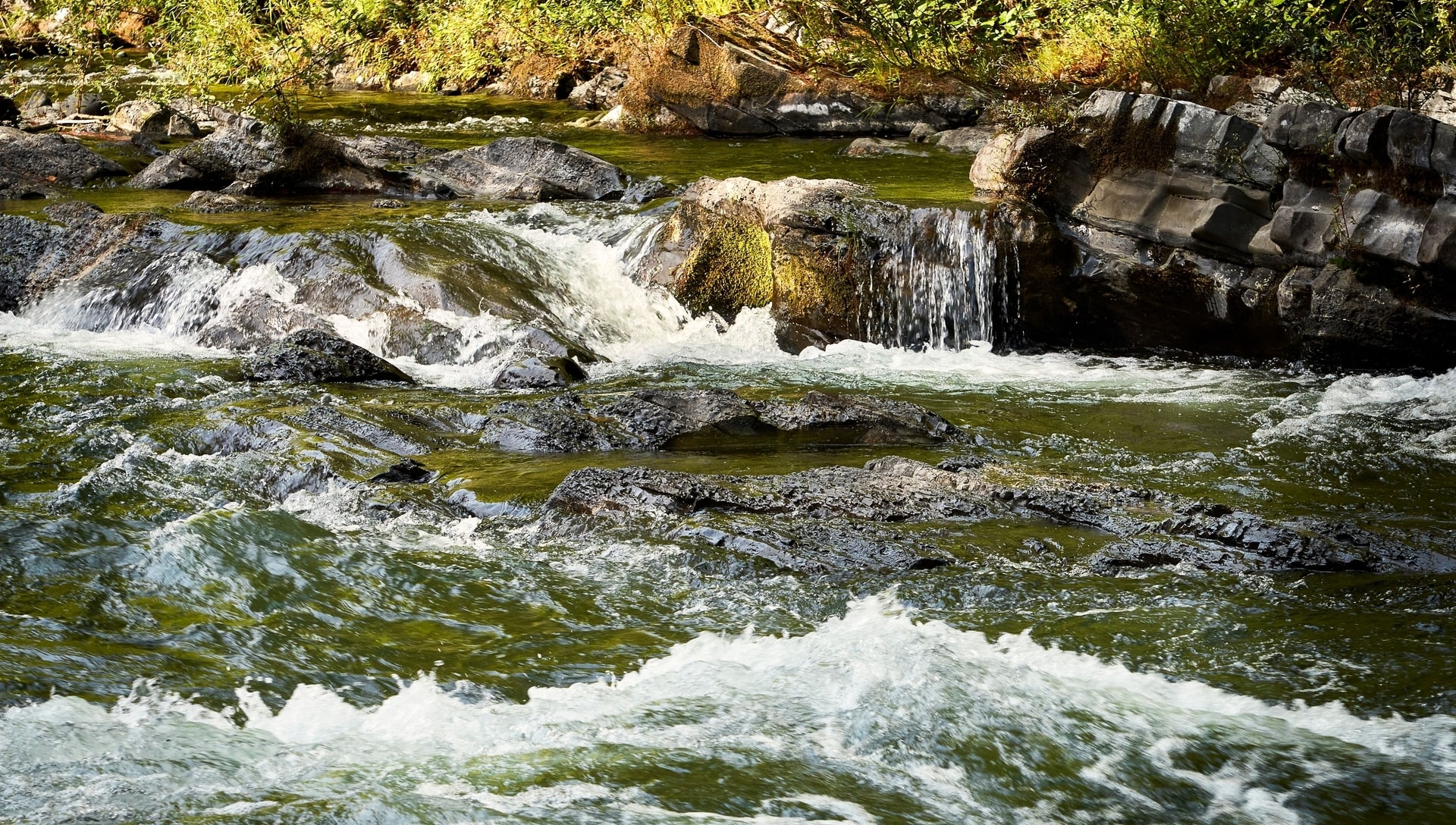 Rapids of the Cowichan River, BC