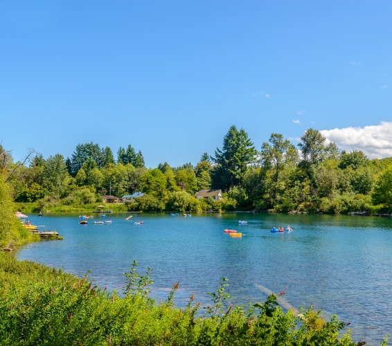 People swimming at Lake Cowichan cottages