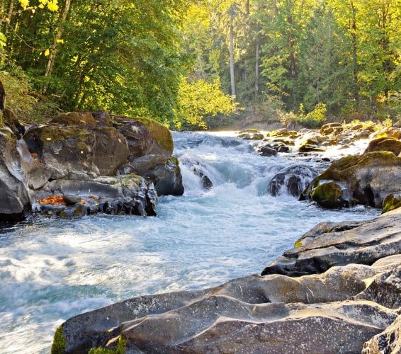 Rapids on Cowichan River near Lake Cowichan