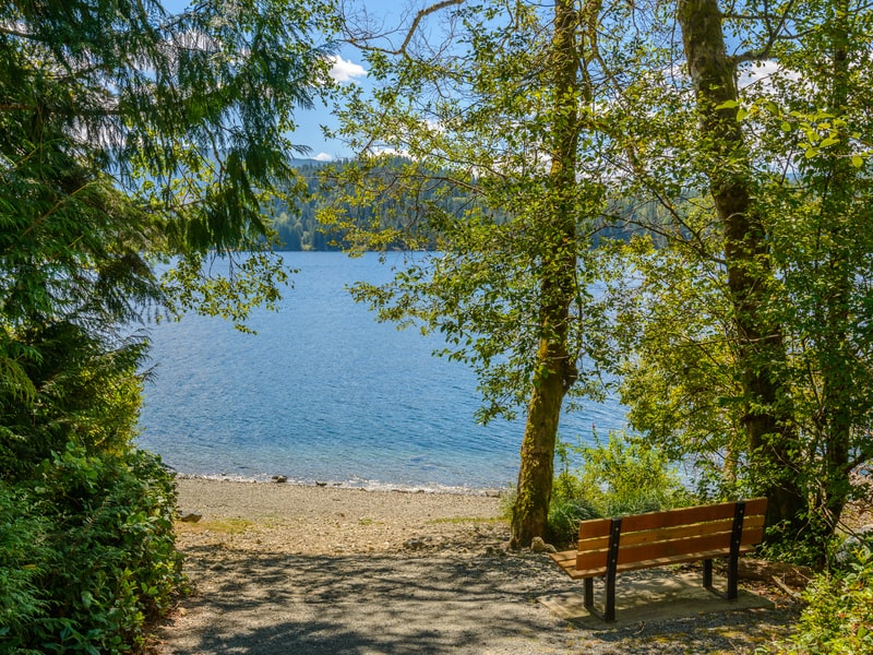 Bench on the shore of Cowichan Lake