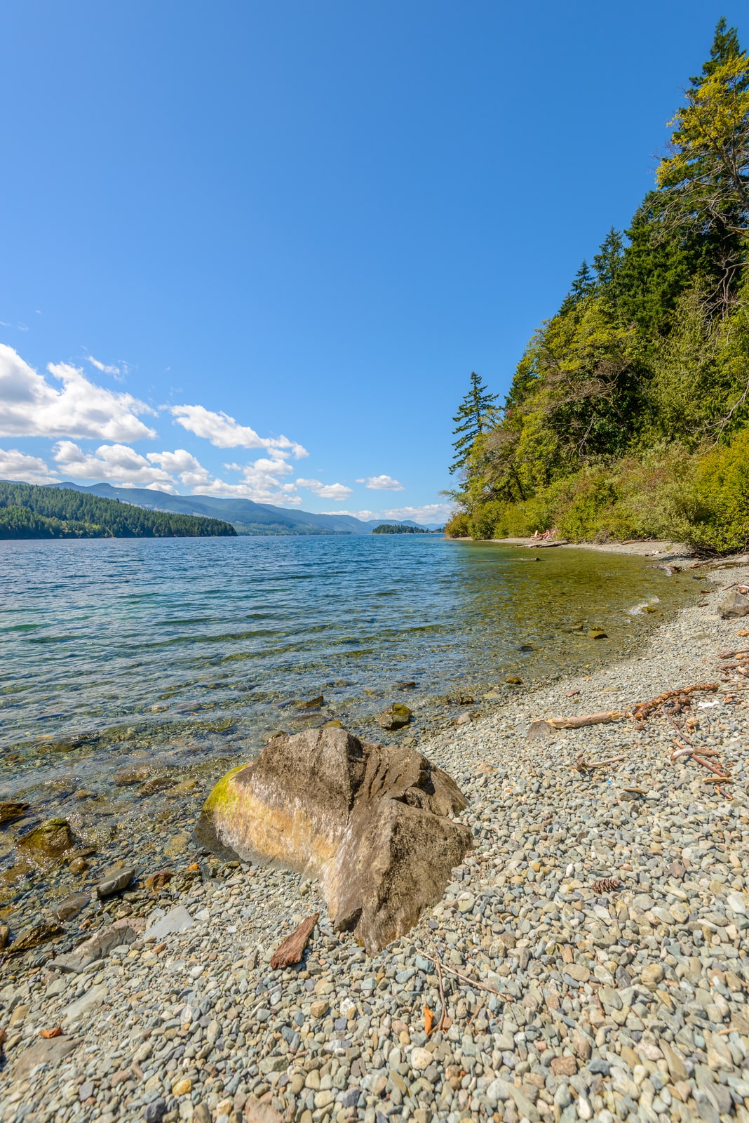 Shoreline of Cowichan Lake