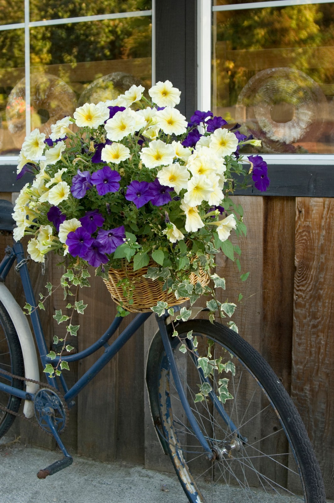 Bicycle with flowers in basket, parked against outside of a bakery