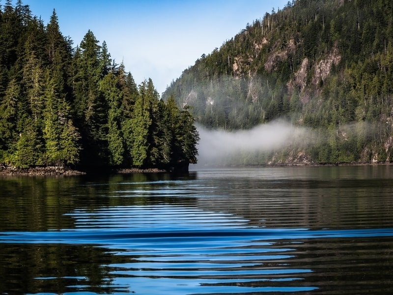 Towering mountains of pine trees over Cameron Lake, near Little Qualicum River Village