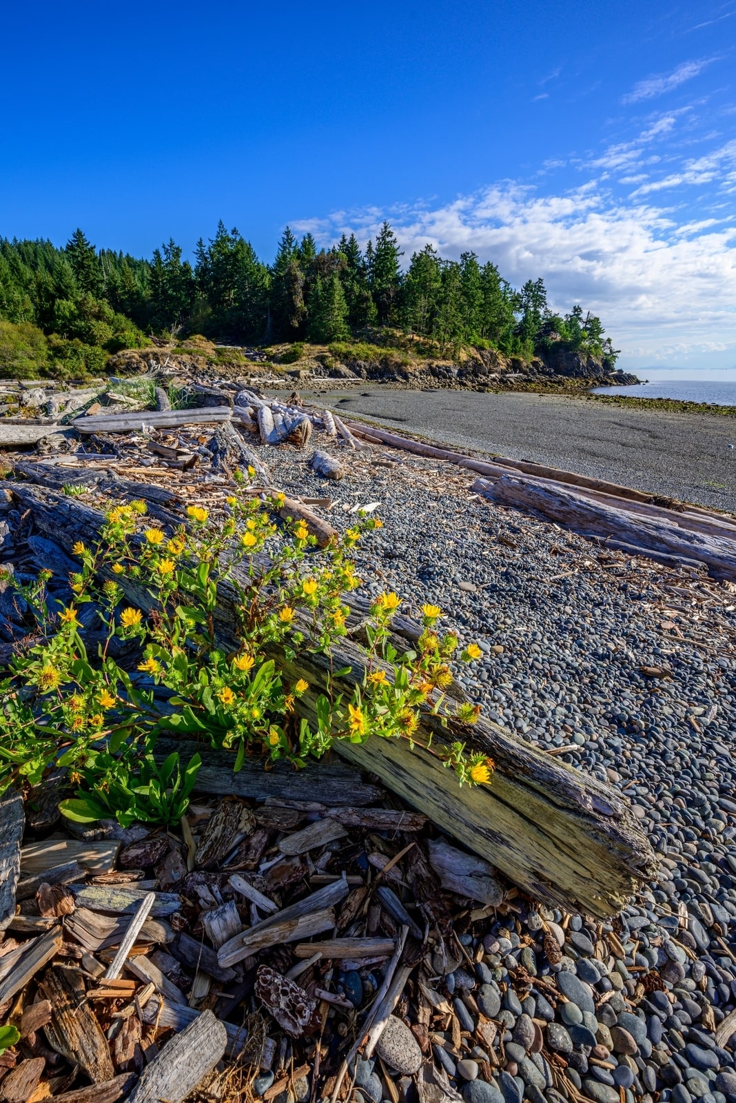 Two Freighters off the coast of Nanaimo, BC