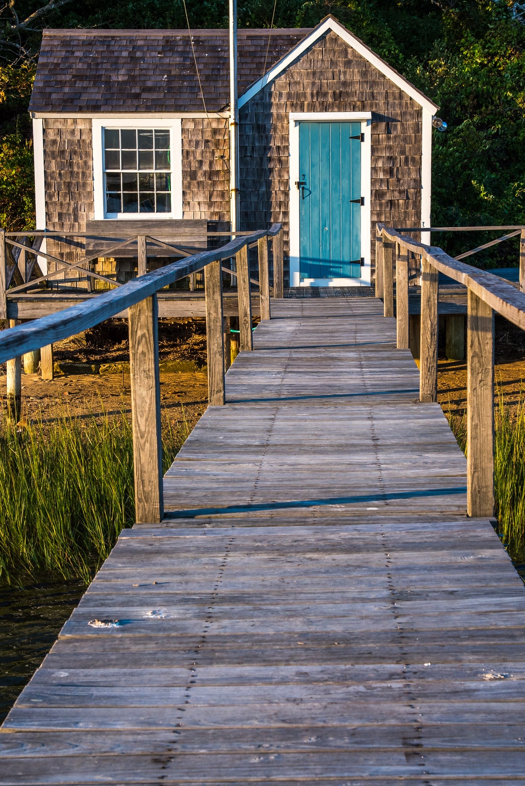 Walkway to dock house with blue door, amongst the flowing grasses